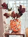 IMG_2178 (1).webp