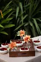 TERRA 2 .webp