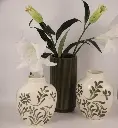 OLIVA