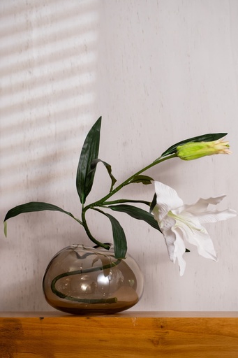 FLORA